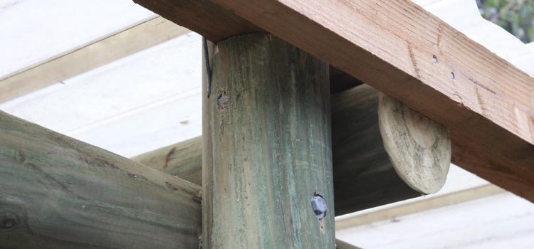 The Pole Man supplies H5 treated, lathe-turned poles engineered to withstand New Zealand’s toughest conditions. But what does timber treatment really mean, and why does it matter?